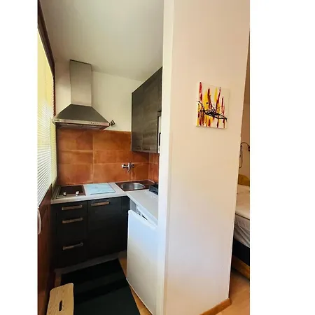 Lucky 13 Incl Summercard Zell Am Apartament